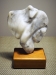 “Torso”