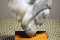 “Torso”