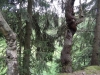 Wandeling in het Orketal
