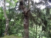 Wandeling in het Orketal