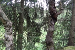 Wandeling in het Orketal