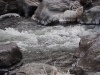 Dal Dalwigksthal Orke