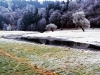 Dal Dalwigksthal Orke