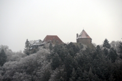 Burcht Lichtenfels in winter