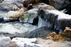 Dal Dalwigksthal Orke