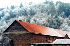 Dal Dalwigksthal