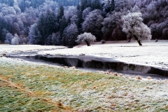 Dal Dalwigksthal Orke