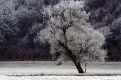 Dal Dalwigksthal Orke
